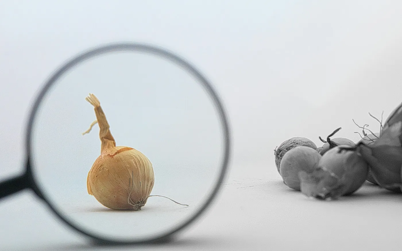 a close up of a magnifying glass with food by Kaptured by Kasia courtesy of Unsplash.