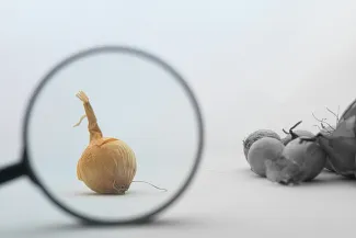 a close up of a magnifying glass with food by Kaptured by Kasia courtesy of Unsplash.